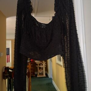 Forever 21 Black Sheer Crop Top
